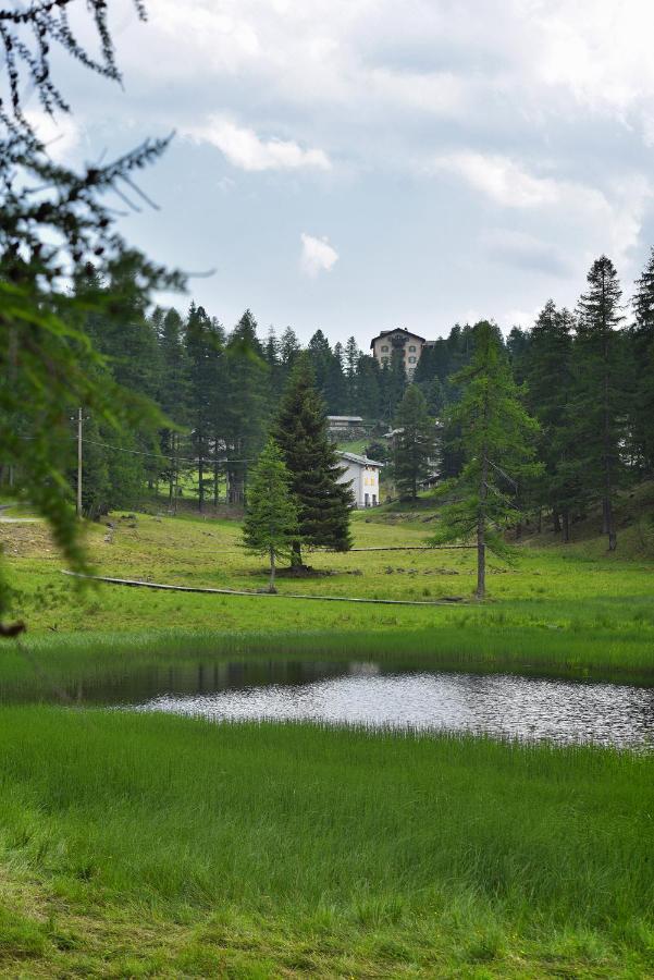 Albergo Casa Alpina San Luigi Campodolcino Buitenkant foto